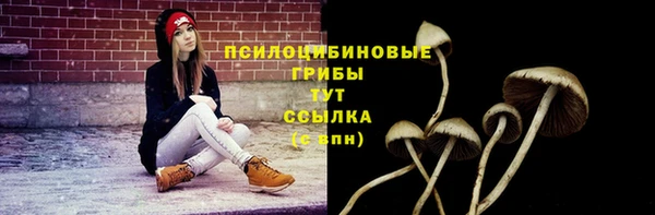 бошки Верхний Тагил