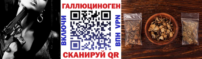 Галлюциногенные грибы Psilocybe  наркотики  Нея 